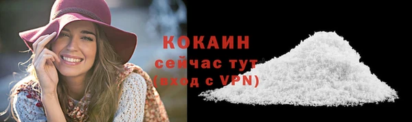 твердый Пересвет