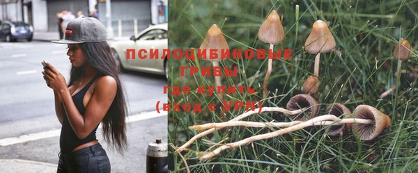 твердый Пересвет