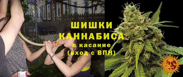 твердый Пересвет