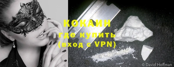 твердый Пересвет
