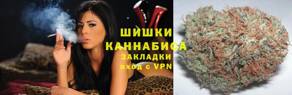 твердый Пересвет