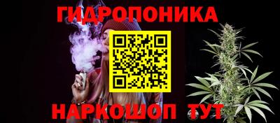 jwh Аргун