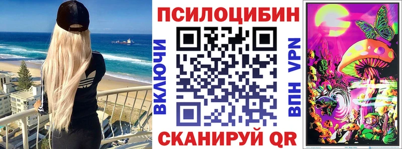 Псилоцибиновые грибы MAGIC MUSHROOMS  где купить наркоту  Лабинск 