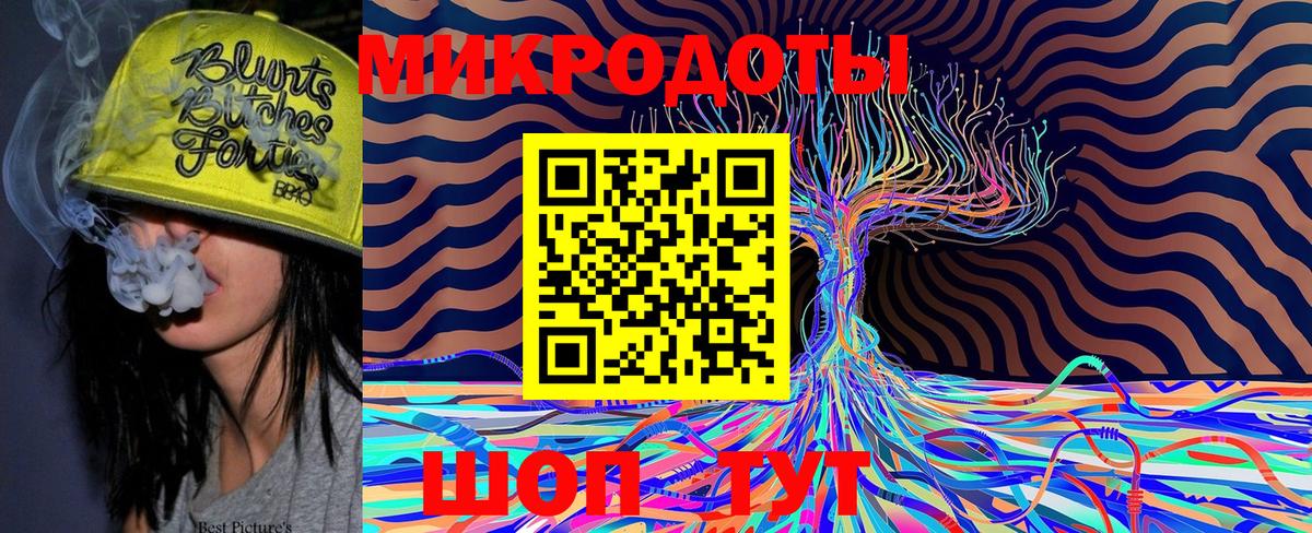 Псилоцибиновые грибы Psilocybe Лабинск