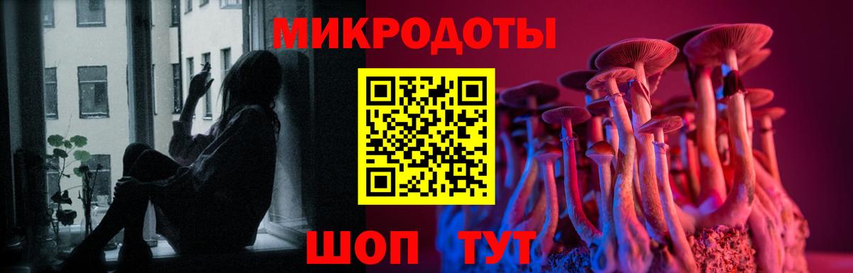 Галлюциногенные грибы Cubensis  Лабинск  Псилоцибиновые грибы Psilocybe 